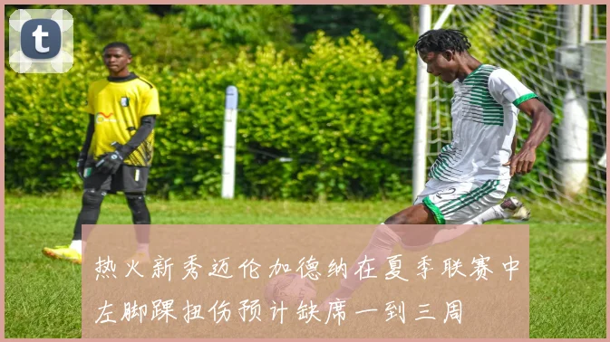 热火新秀迈伦加德纳在夏季联赛中左脚踝扭伤预计缺席一到三周